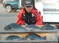 �����@�R�{����(5�`1.2kg)