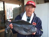 ����@���c����N���@�T�P�Z���`�@�Q,�Q�L��