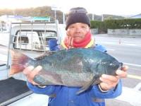 �����@��������N���@�Q,�P�T�L��