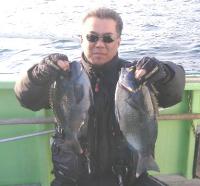 ������ ��E�h�@��(1kg1.3kg)