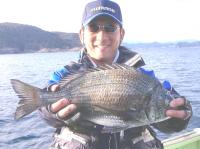 ��E�h�@������(1.5kg)