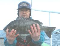 大バエ　松木氏ﾁﾇ(1,2kg)