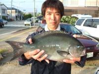 大分　河野さん　オナガ　１,２キロ
