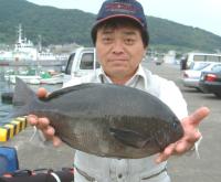 LnG@Kc@N(1.6kg)