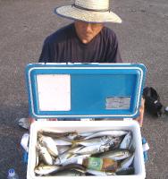 広ﾊｴ　夜釣り　土工氏　鯵