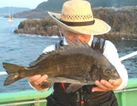 広ﾊｴ　夜釣り　黒木氏　ﾁﾇ(1.6kg)