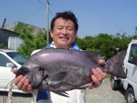 西都　橋口さん　石鯛２．１ｋｇ～つぼや～