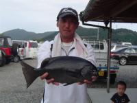 宮崎　日高さん　クロ１．５ｋｇ
