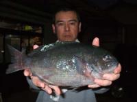 ���삳��@�N���@�P,�P�L��