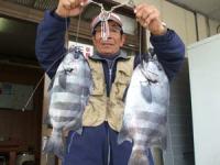 ����@���c����@�C�V�_�C�@�Q��