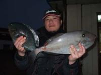 �g�c����@�N���@�P�L��