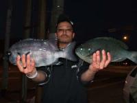 �֎R����@�N���@�C�V�_�C