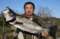 �{��@�{������@�q���X�Y�L�T�D�O�����@�W�O�����I�I