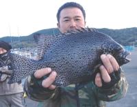 ���[�v��@�C�V�K�L(1.5�s)