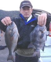 �򓇁@�N��(1.3�s)�@���޲(800g)