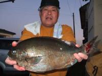 �����@�b�コ��I�i�K�@�S�T����