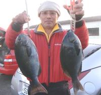 �򓇁@�������@��