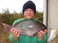 ��������A�Ȓ��̍��؂���@�N���Q�D�Q����