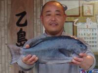 ����@���삳��@�N���Q�D�O�����`�Q��