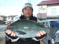 ���@�c������@�N���@�P,�X�L��