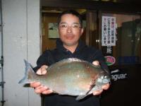 ���x�@��������I�i�K