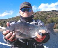 �򓇁@���ʎ���(1.2kg)