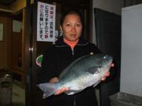 ���U�[�m����@�N���@�P,�Q�L��