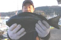 ���n�G�@�������N��(1.1kg)