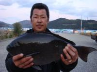 �����@���₳��@�N���Q�D�P�����@�S�X�����I�@�^�c�o�n�i