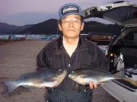 �F�{�@�i�c����@�N���P�D�S�`�@�S���@�@�^���|��