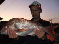 �����@�т���@�}�_�C�@�Q,�V�T�L��