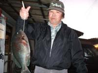 �����@�{�c����@�N���@�P,�V�T�L��