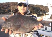 �򓇁@�ؖ{���@��(1.1kg)