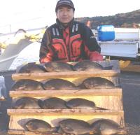 ���䎁 �򓇁@��(500�`1.1kg�j