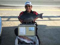 ���@���J�삳��@�S�R�Z���`�@�P,�V�L��