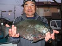 �|������@�N���@�Q,�Q�L��