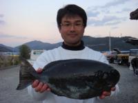 ���с@���c����@�Q�D�T�����@�S�V�����I�I�@�n�`�K�T�T��