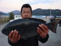 �����@���₳��@�N���Q�D�Q�����@�T�P�D�O�����I�@�@�[���R�I