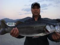 ����@�c������@�q���X�Y�L�R�D�T�����@�R�^�c