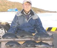 ���������޴�@��(800�`1.5�s�j