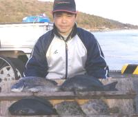 ��㎁�򓇁@��,��(1�`1.2�s�j