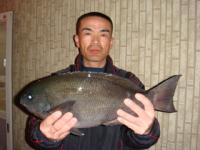 �����@�O�Y����@�N���P�D�W�����@�S�T�����@�^�c�I�I