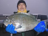 �Lʴ�@��ނ�@��؎���(1.92kg)