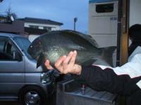 �͖삳��@�N���@�P,�V�L��