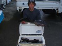 ���@�U���񖞃^��