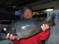 ���с@�V�|���� �N���@�Q,�R�T�L��