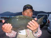 �����@�X����@�N���P�D�W�����@�`�S���q���E�`