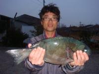 ���x�@�l������@�N���P�D�V�����@�`�R�^�c�`