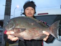 ���x�@�g�삳��