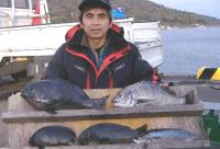 �������@�򓇸�,��(500���`1.7�s�j